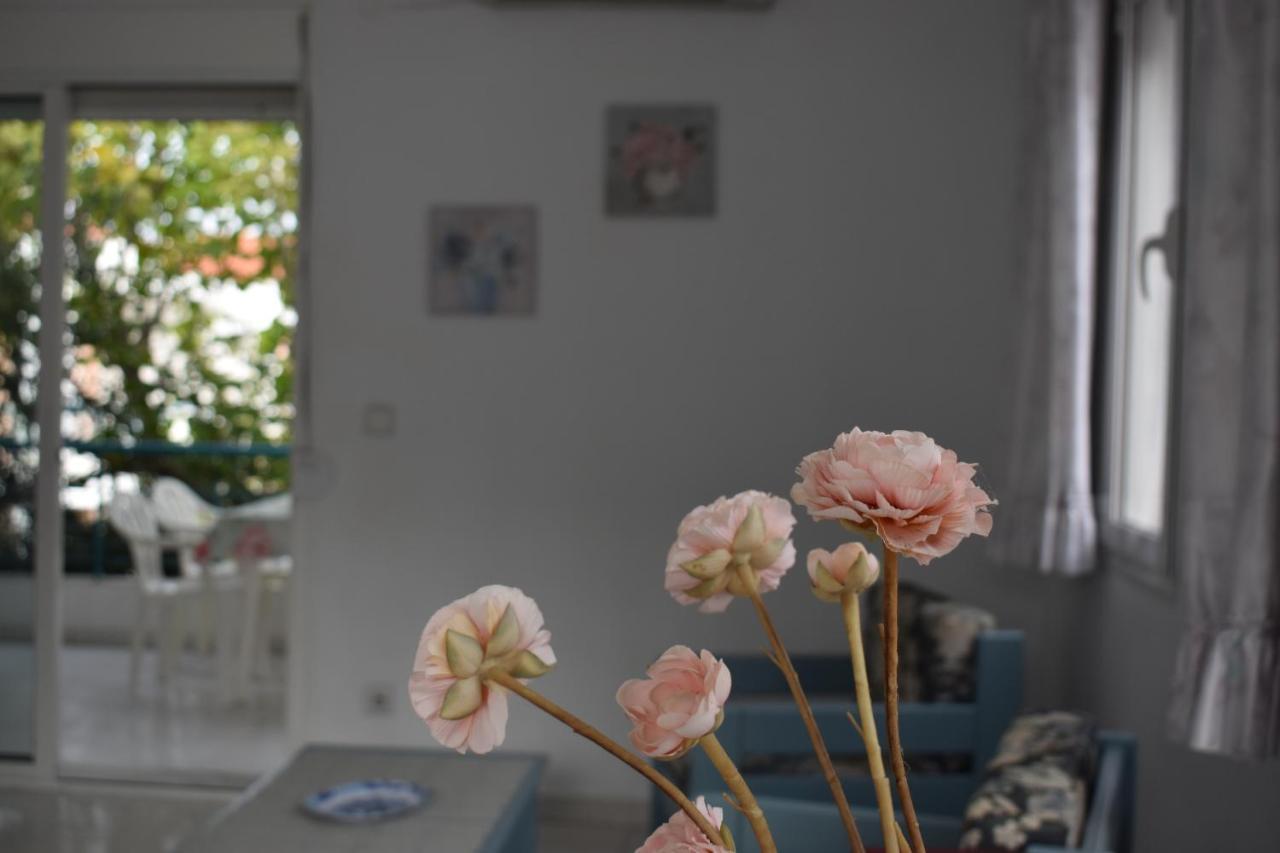 Niki Apartments ポリフロノ エクステリア 写真